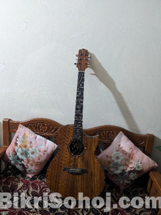 Acoustic  guitar
